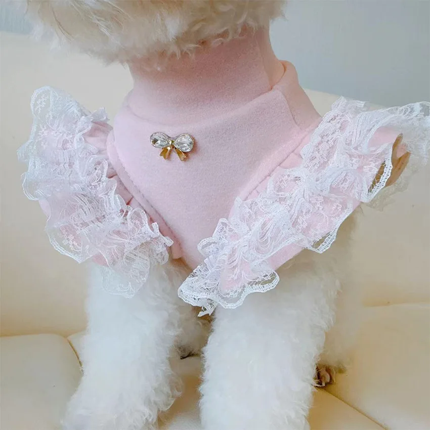 Pet Clothing Autumn and Winter - Lace Teddy Lingerie ulasan dan harga